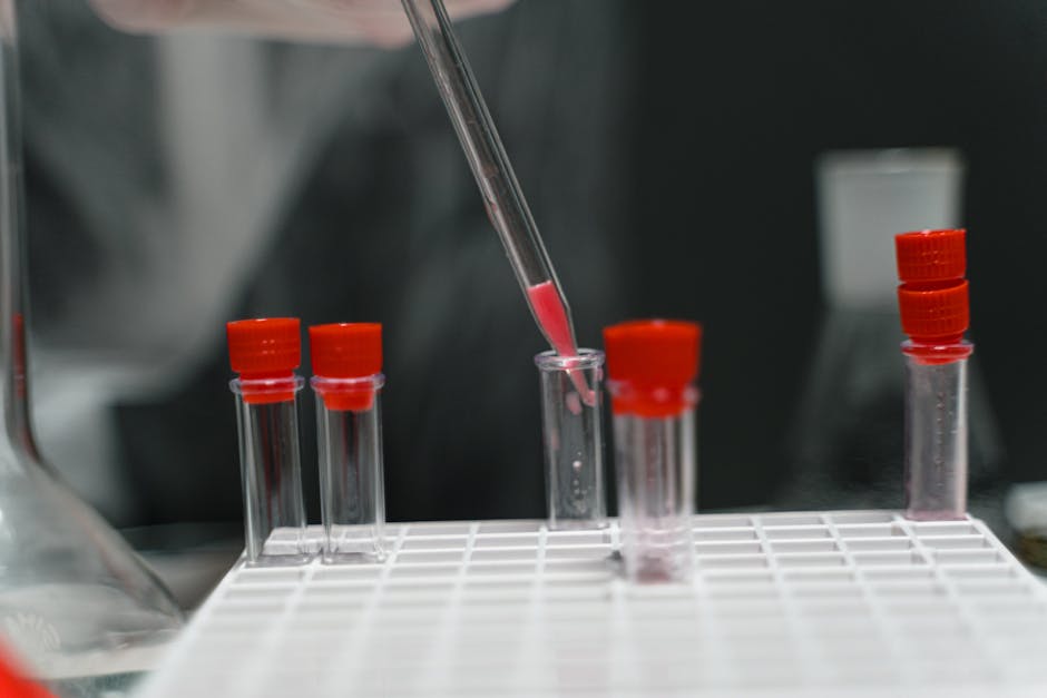 Cannabis shop in Lyon