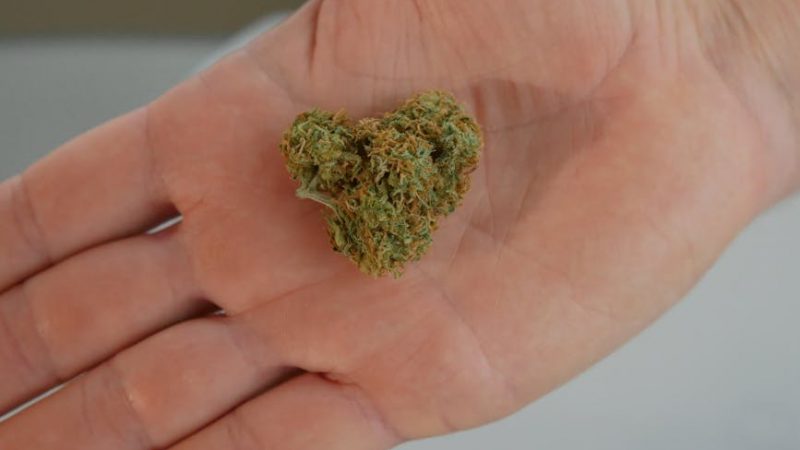 Cannabis store in Zurich