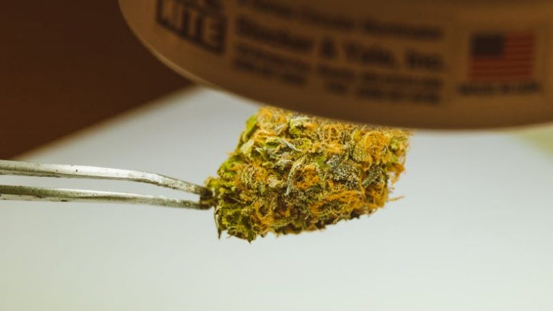 Buy THC vapes in Berlin