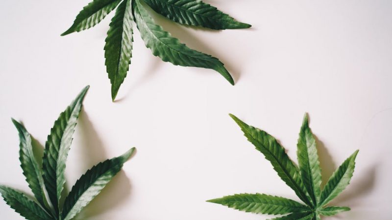 Marijuana shop in Luxembourg