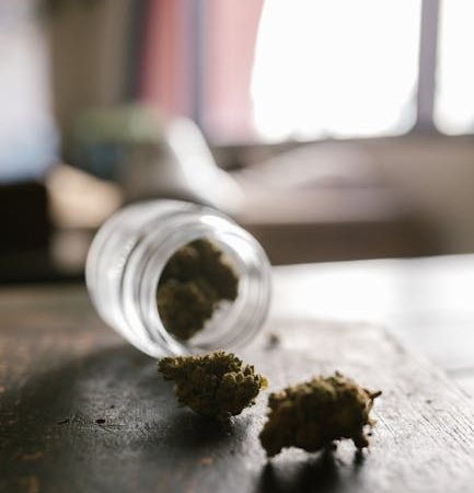 Cannabis delivery in Ljubljana