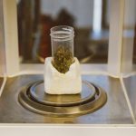 420 shop in Estonia image_188.jpg