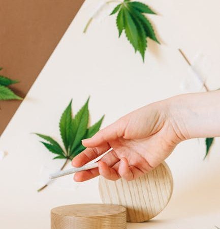 Marijuana delivery in Jurmala