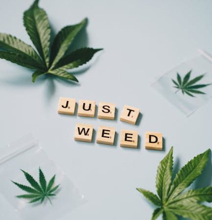 Cannabis shop in Malmo