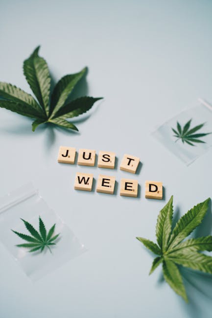 Cannabis shop in Malmo