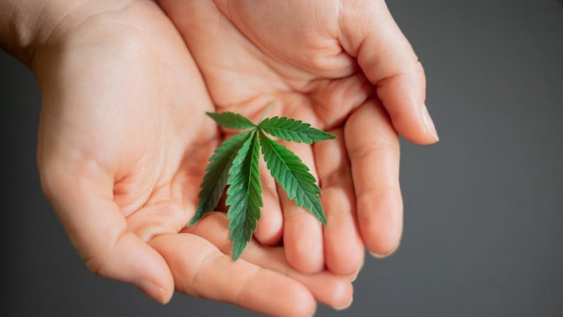 Buy marijuana in Lisbon