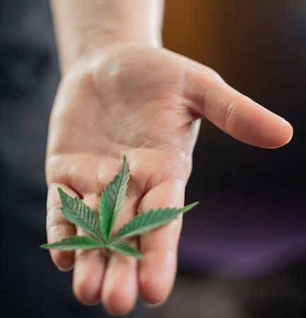 Cannabis store in Riga