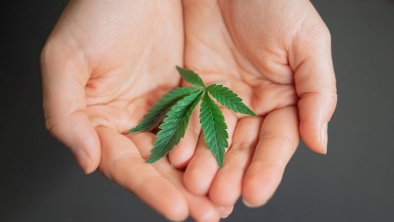 Buy hashish in Venezia