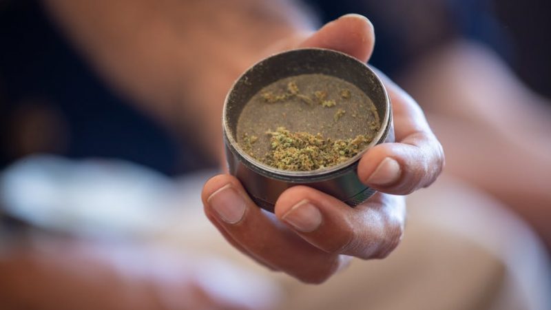 THC weed in Brno
