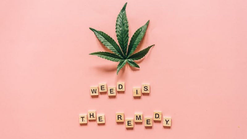 Weed delivery in Nice