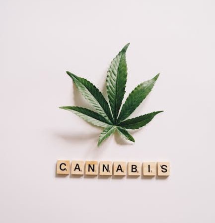 Cannabis store in Galway