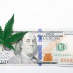 Cannabis shop in Bratislava image_407.jpg