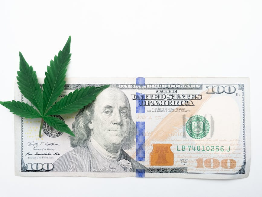 Cannabis shop in Bratislava