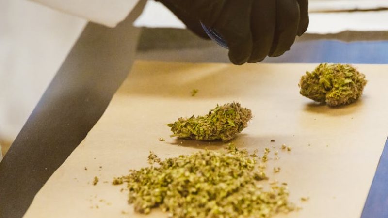 Weed store in Malmo