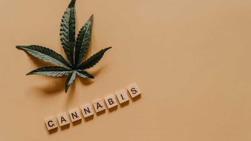 Marijuana store in Budapest