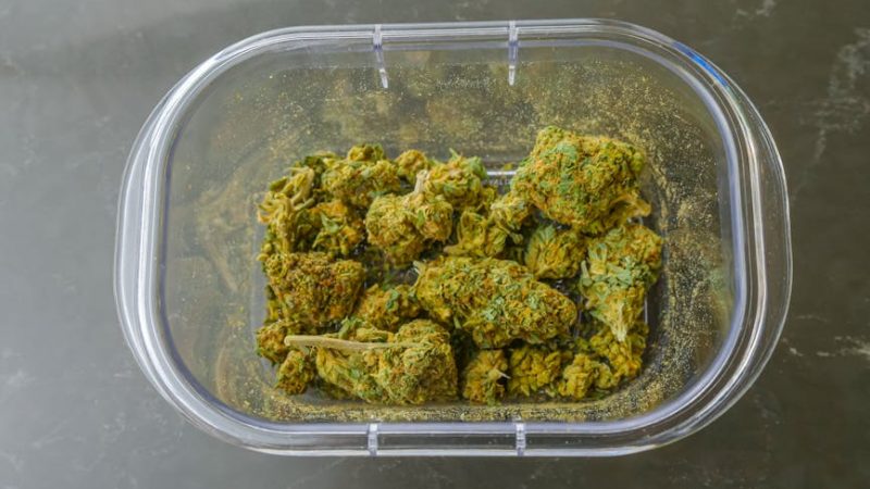 Buy cannabis in Zaragoza