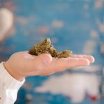 Weed store in Toulouse image_484.jpg