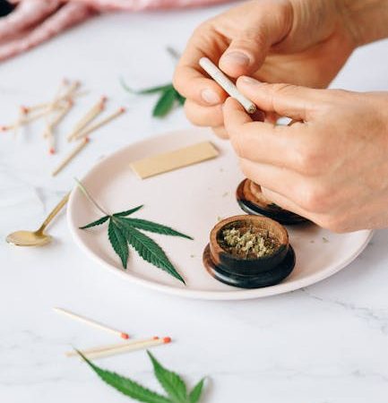 Cannabis delivery in Venezia