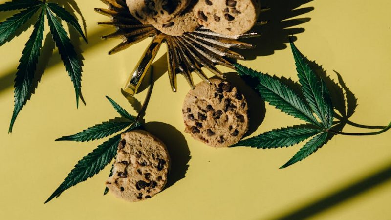 Weed shop in Florence