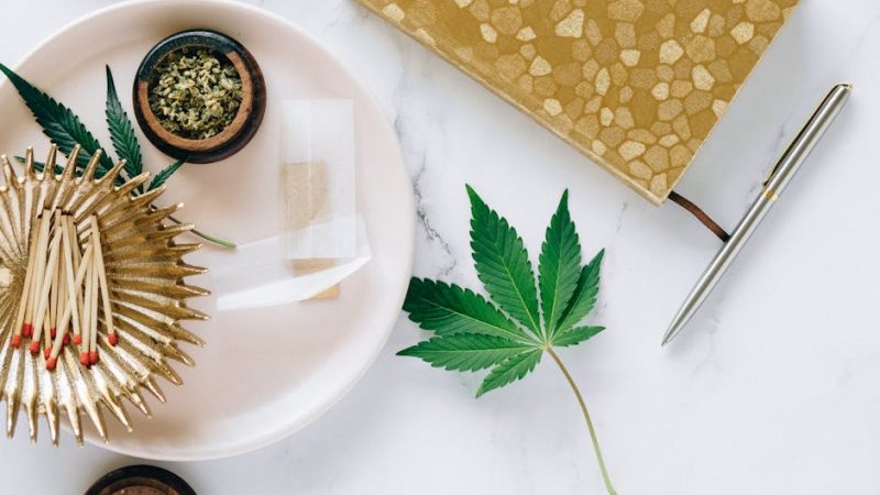 Marijuana store in Warsaw