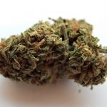 Buy cannabis in Augsburg image_624.jpg