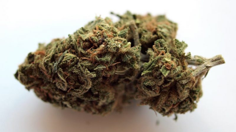 Buy cannabis in Augsburg
