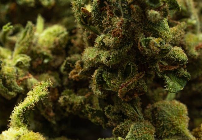 Buy THC vape in Klaipeda