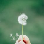 Buy marijuana in Lodz image_636.jpg