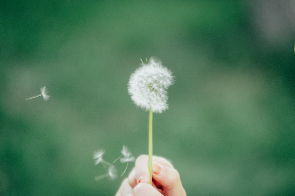 Buy marijuana in Lodz