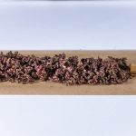 Buy weed in Cluj-Napoca image_658.jpg