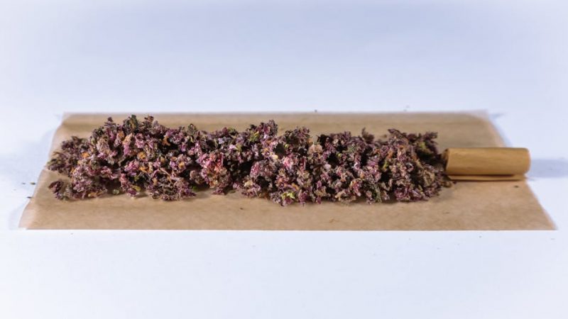 Buy weed in Cluj-Napoca