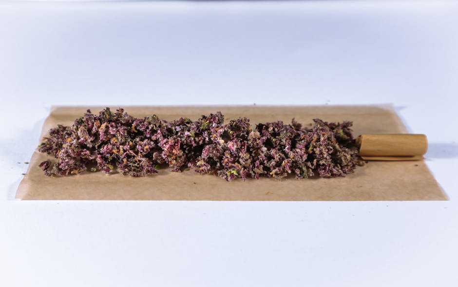 Buy weed in Cluj-Napoca