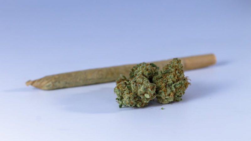 Buy the weed in Kosice