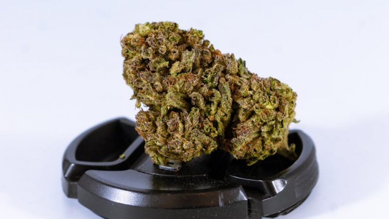 Buy weed in Stuttgart