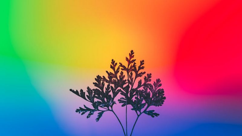 Buy cannabis in Klaipeda