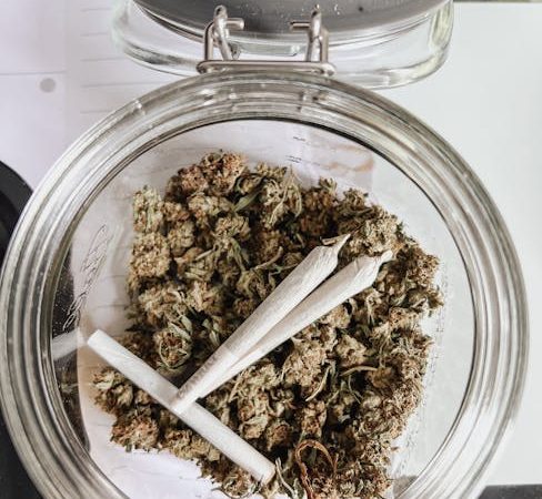 THC vapes delivery in Kosice