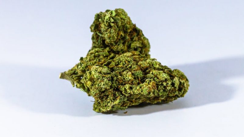 Buy weed in Denmark