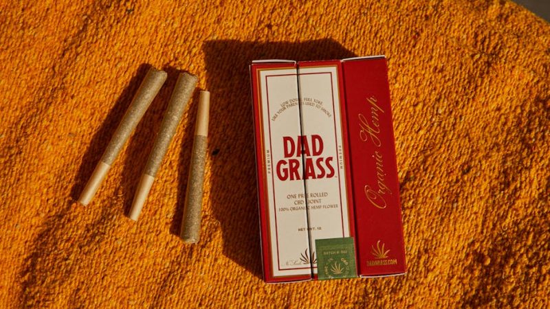 Buy hashish in Palma de Mallorca