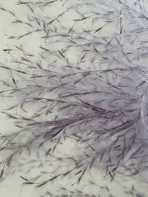 THC vapes delivery in Lisbon