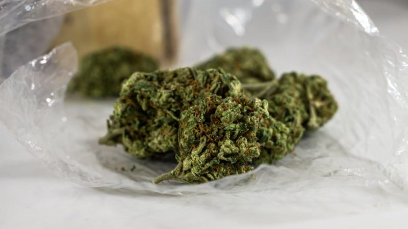 Cannabis delivery in Sheffield
