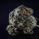 Buy THC vapes in Budapest image_817.jpg