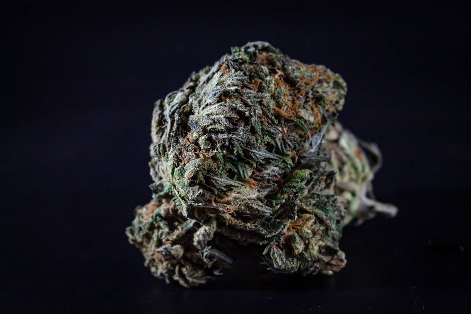 Buy THC vapes in Budapest