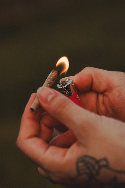 Buy the weed in Hamburg