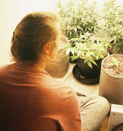 420 store in Belgium