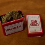 Weed shop in Malaga image_897.jpg