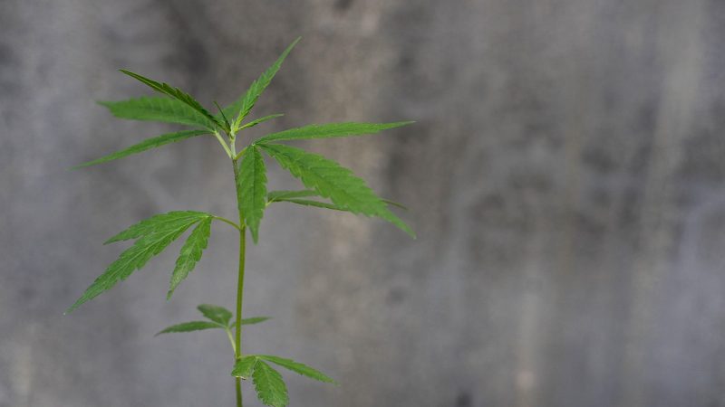 420 store in Stockholm