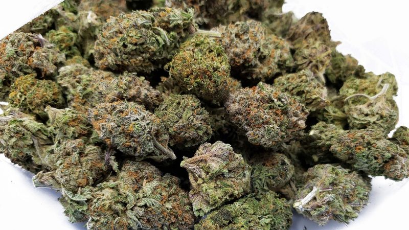 Marijuana delivery in Bydgoszcz