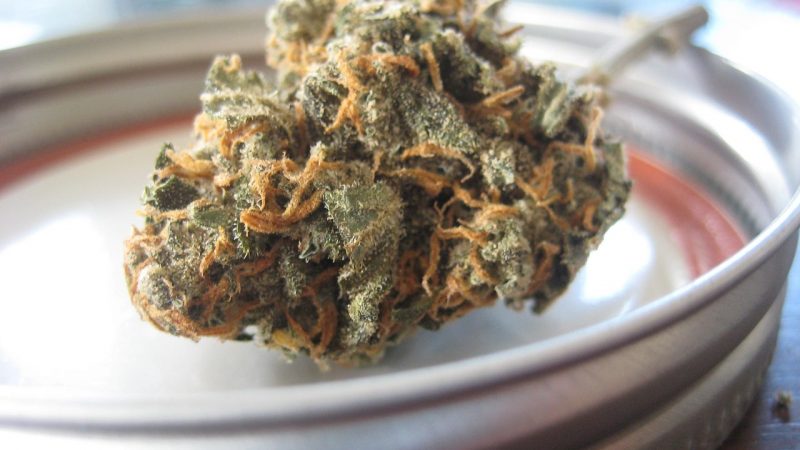 Marijuana shop in Montpellier