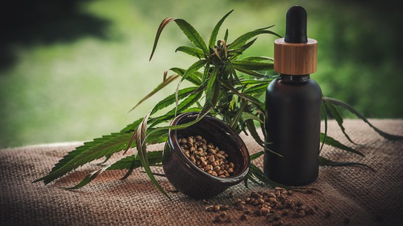Marijuana shop in Mannheim